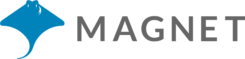 Magnet